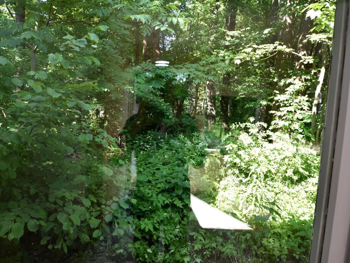 Bungalow In The Harz Mountains With Terrace Elbingerode  Esterno foto